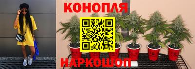 соль ск Гусев