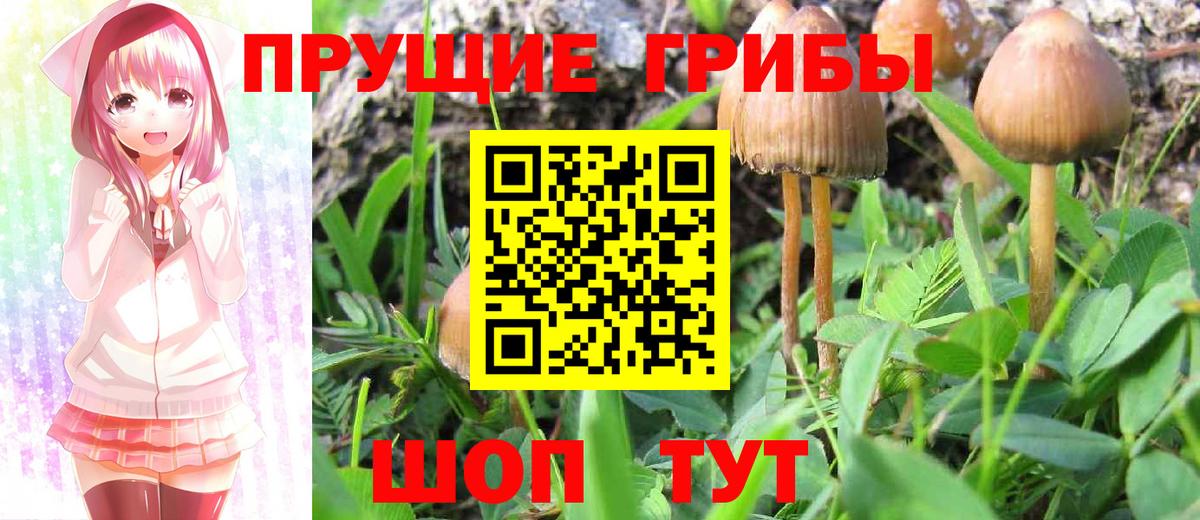 Псилоцибиновые грибы ЛСД  Вход с VPN  Псилоцибиновые грибы MAGIC MUSHROOMS  Кумертау 